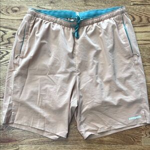 Patagonia shorts